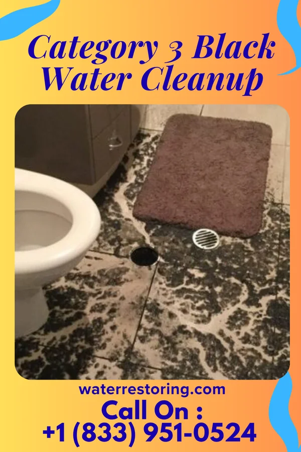 Category 3 Black Water Cleanup in Antioch, CA